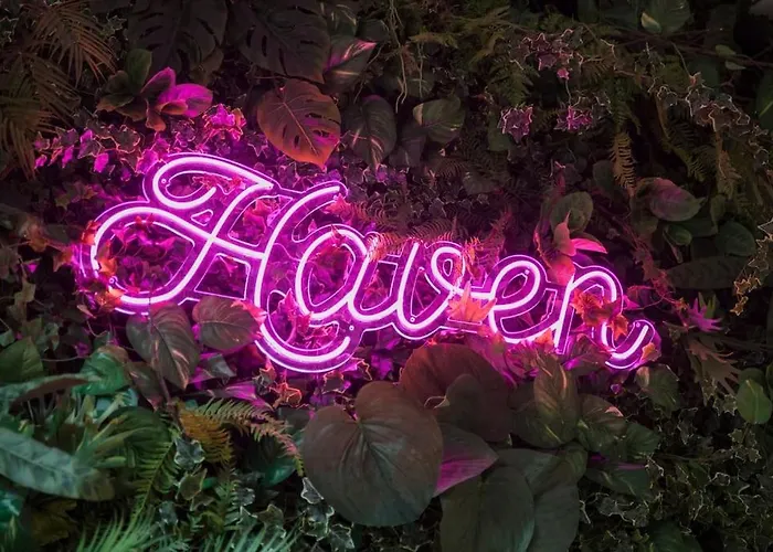 Haven Luxury Loft - Centre 别墅 *